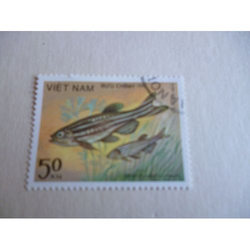 Timbre "Vietnam :Brachyclanio Reno".