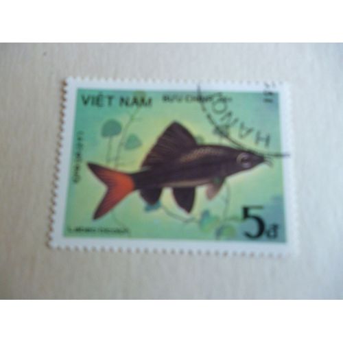 Timbre "Vietnam :Labeo Bicolor".