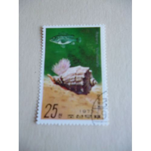 Timbre "Dprk Corée 1977 :Rapana Tomasiana".