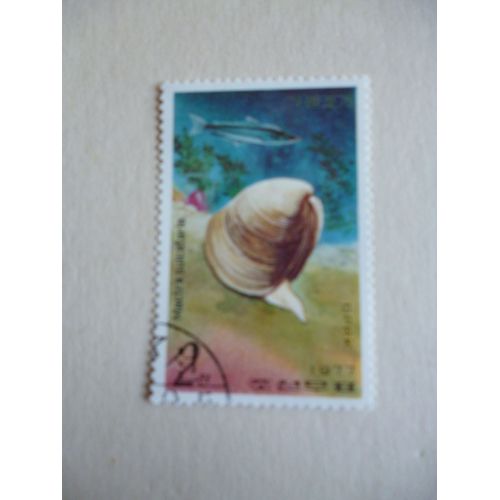 Timbre "Dprk Corée 1977 :Mactra Sulcataria".