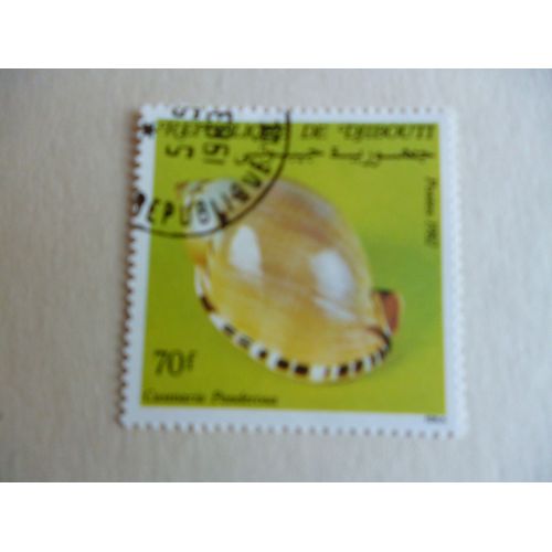 Timbre "Djibouti1982 :Casmaria Ponderosa".
