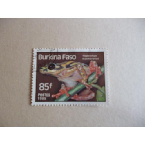 Timbre "Burkina Faso :1985 : Hiperolius Marmoratus".