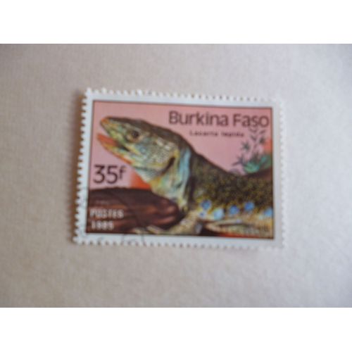 Timbre "Burkina Faso :1985 : Lézard :Lacerta Lapida".