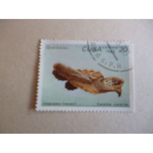 Timbre " Cuba 1983 :Caretta Caretta :Tortue".