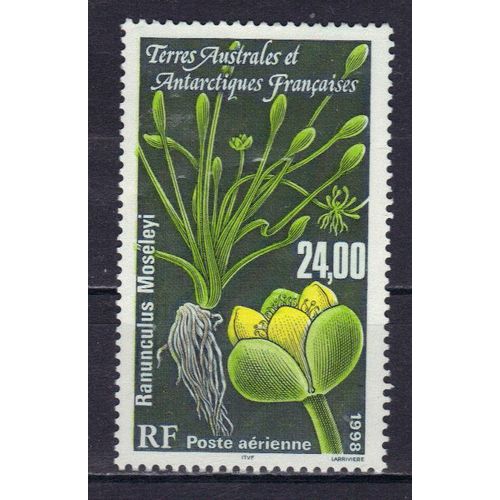 Terres Australes Et Antarctiques Francaises 1998 (Taaf) Poste Aerienne : Flore Antarctique : Ranunculus Moseleyi - Timbre 24 F. Multicolore Neuf ** Cote 12,20 ¿