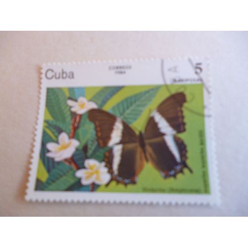 Timbre " Cuba 1984 :Victorina Superba ".