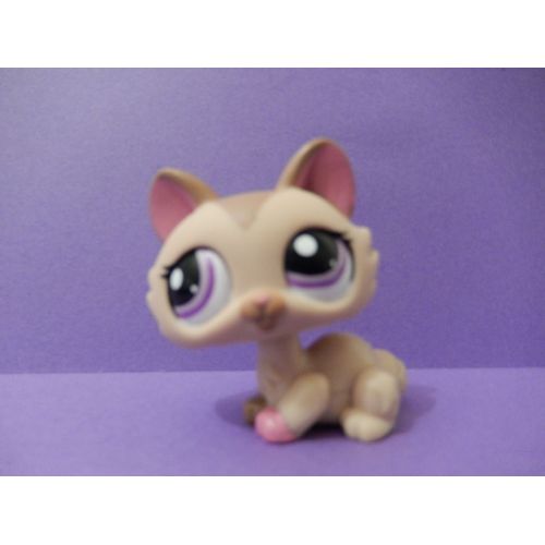 Petshop Chat Sphynx N° 1584