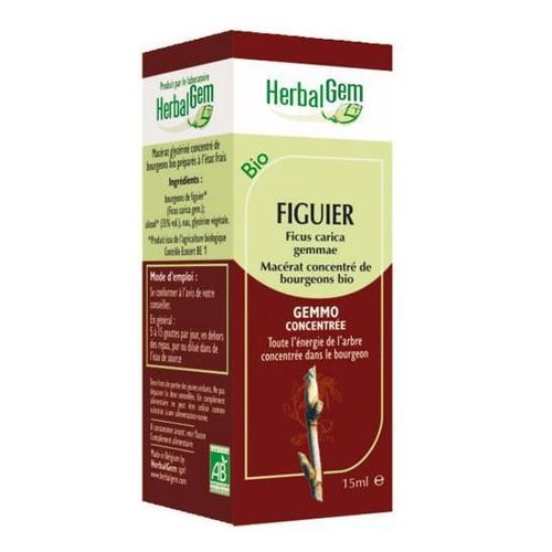 Herbalgem Figuier Bio - 30 Ml 