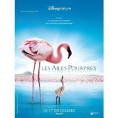 Les Ailes Pourpres Le Mystère Des Flamants - Matthew Aeberhard - Affiche De Cinéma Pliée 60x40 Cm