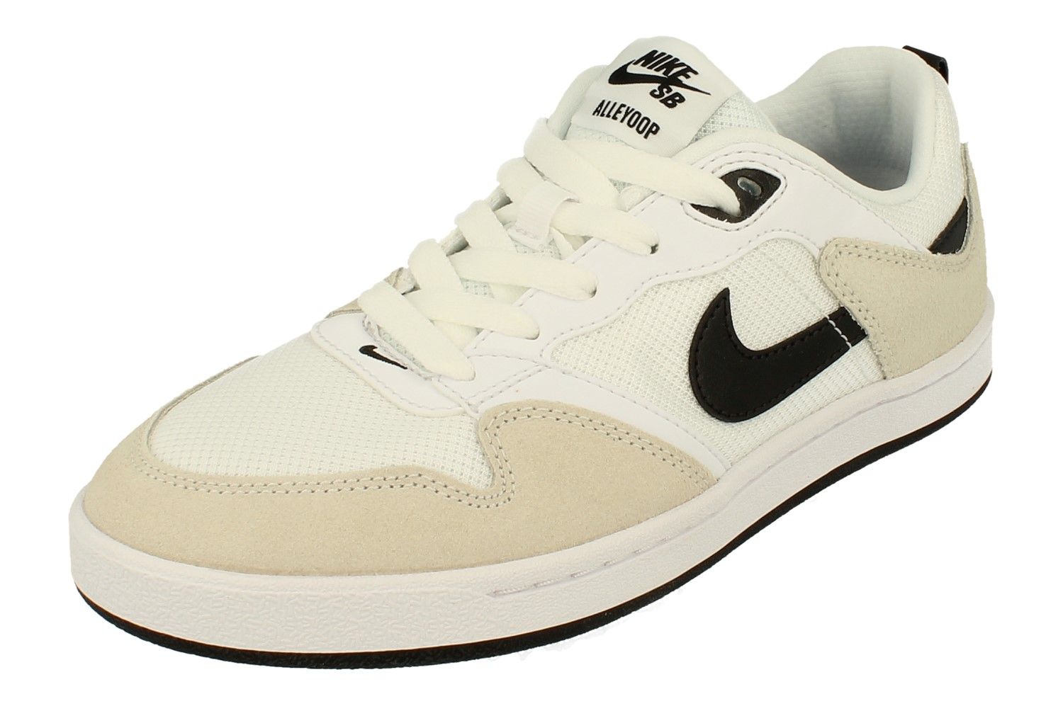 ladies nike sb trainers