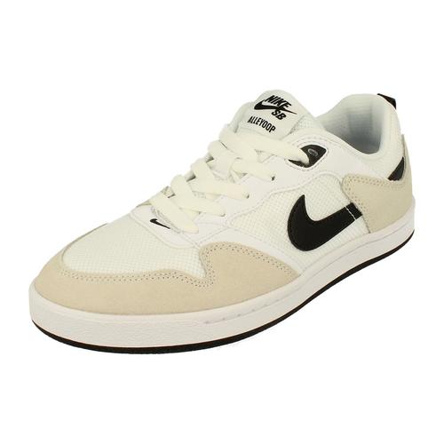 Chaussures Nike Sb Alleyoop Trainers Cq0369 100