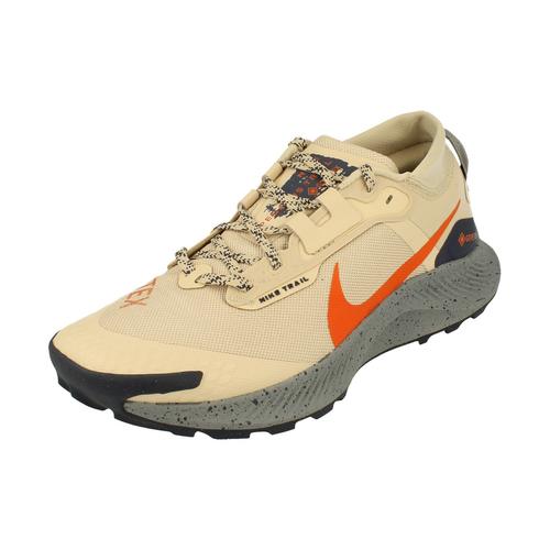 Chaussures Nike Air Pegasus Trail 3 Gtx Dc8793 200