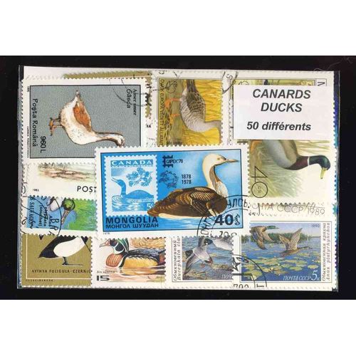 Canards 50 Timbres Differents Obliteres