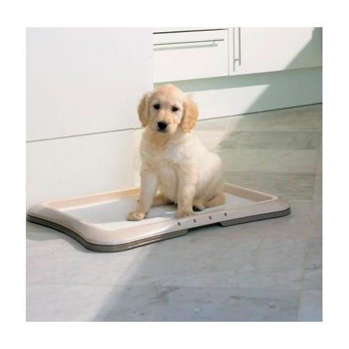 Plateau D'entraînement Pour Chiots Pour Uriner À L'extérieur