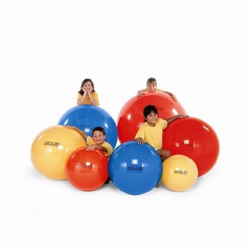 Nrs Healthcare Ballon D'exercice 55 Cm De Diamètre