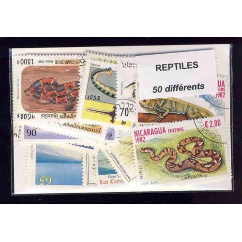Reptiles - 50 Timbres Differents - Tous Pays - Obliteres