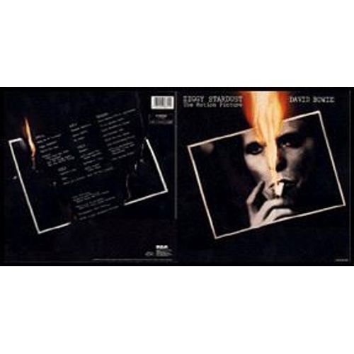Ziggy Stardust (The Motion Picture)