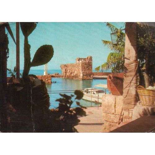 Carte Postale Du Liban (Timbrée, Oiseau) °°°