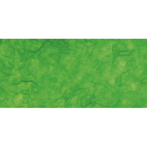 Papier De Soie Japon Vert Gazon Rouleau 150 X 70 Cm - Rayher