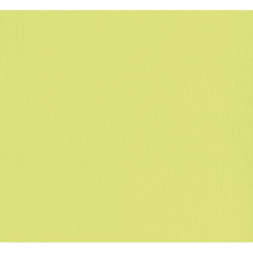Papier Texture Toile Limonade 30,5 Cm - Bazzill Basics Paper