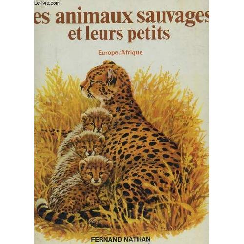 Les Animaux Sauvages Et Leurs Petits -