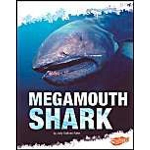 Megamouth Shark