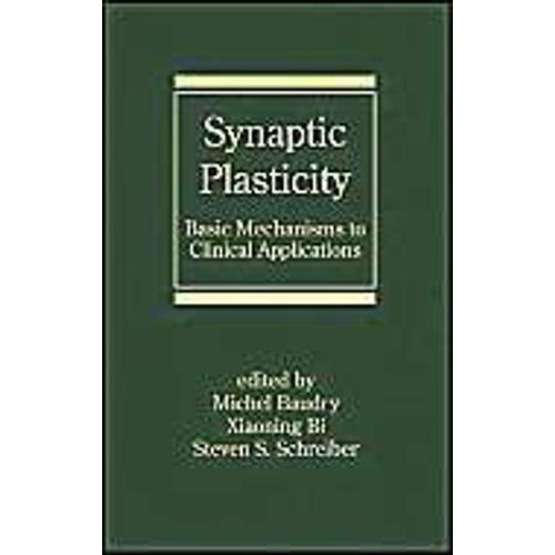 Synaptic Plasticity: Basic Mechanisms To Clinical Applications
