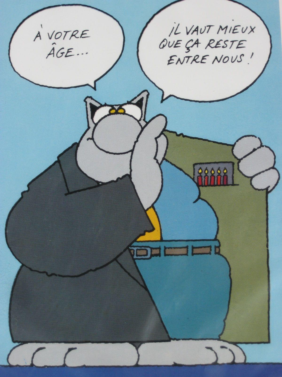 Geluck Le Chat A Votre Age Carte Postale Rakuten