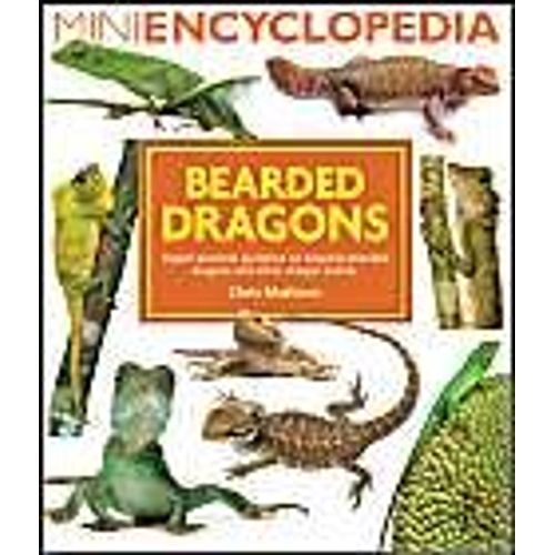 Bearded Dragons