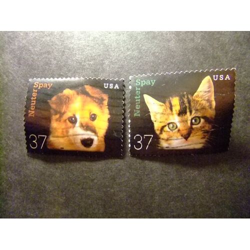 Timbres - Etats-Unis D´Amerique 2002 - Chats Et Chiens (Sterilisation ) Yvert & Tellier Nº 3383 / 3384 º Fu