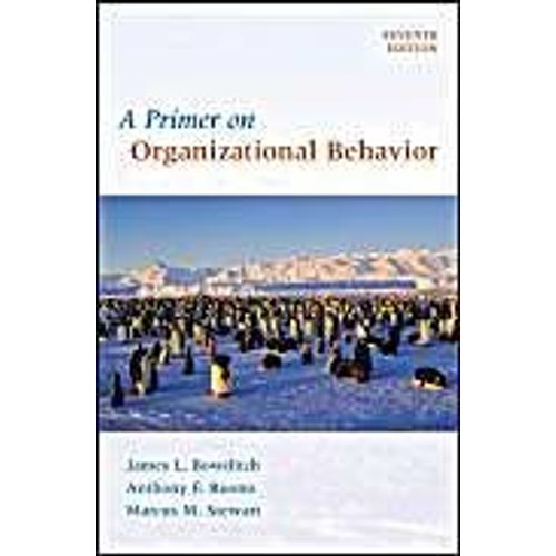 A Primer On Organizational Behavior