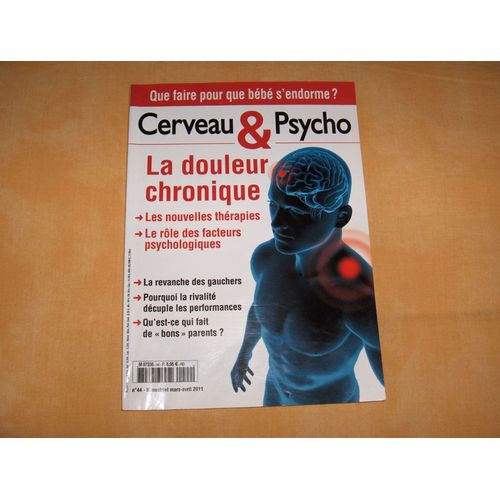 Cerveau Et Psycho 44