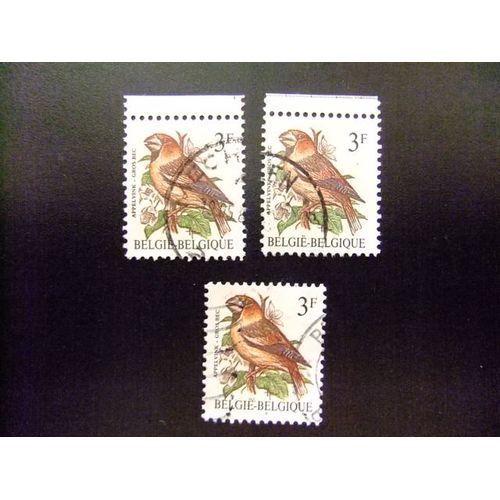Belgique - België - 1985 - Oiseaux ( Gros-Bec) - Yvert & Tellier Nº 2186 º Fu - Cob Nº 2189 º Fu