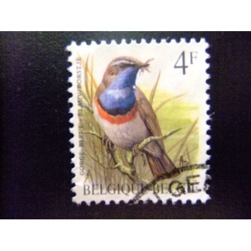 Belgique - België - 1989 - Oiseaux (Gorge Bleue) - Yvert & Tellier Nº 2321 º Fu - Cob Nº 2321 º Fu