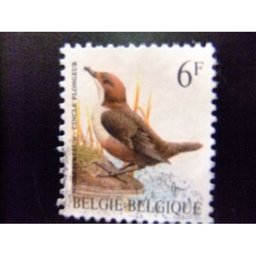 Belgique - België - 1990 - Oiseaux ( Cincle Plongeur ) - Yvert & Tellier Nº 2459 º Fu - Cob Nº 2459 º Fu