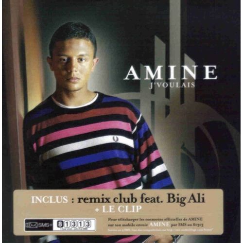 J'voulais - Amine