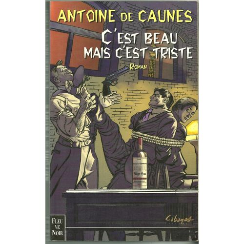 C'est Beau Mais C'est Triste   de Antoine De Caunes
