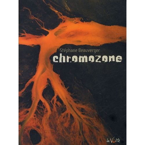 Chromozone   de Beauverger Stphane  Format Broch 
