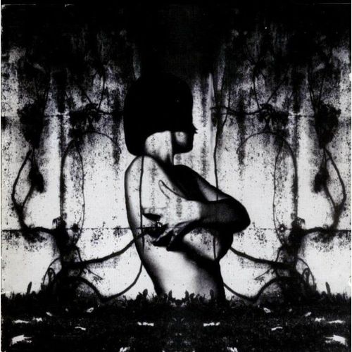 Pity Love - Beyond Dawn