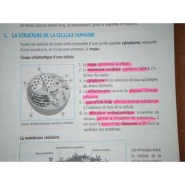 Top Fiches - Biologie, Microbiologie, Nutrition-Alimentation - BEP Css ...