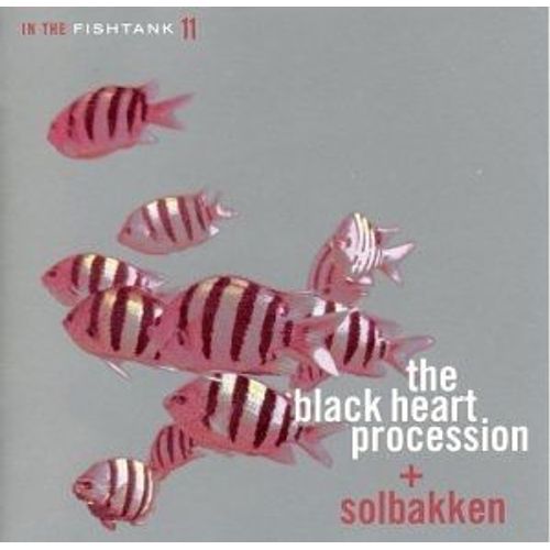 In The Fishtank 11 Black Heart Procession / Solbakken - Black Heart Procession