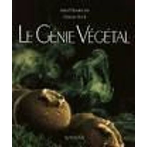 Le Gnie Vgtal   de Bock 
