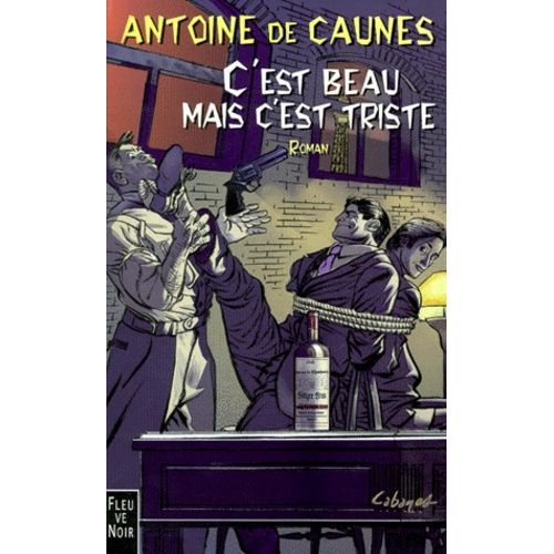 C'est Beau Mais C'est Triste    Format Grand Format 
