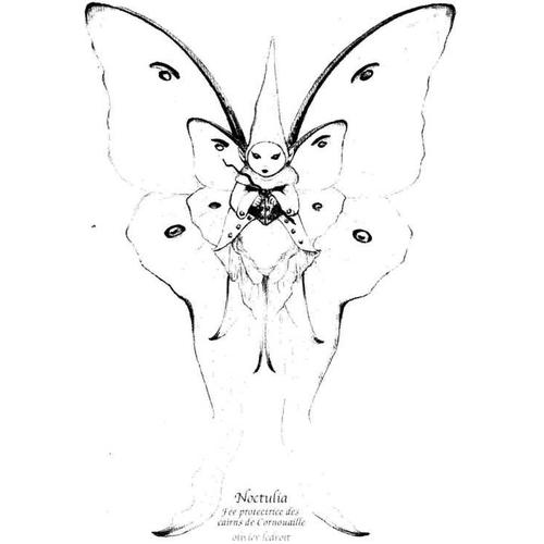 Carte Postale Fe Papillon D'olivier Ledroit