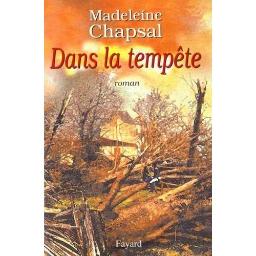 Dans La Tempte - Roman   de madeleine chapsal 