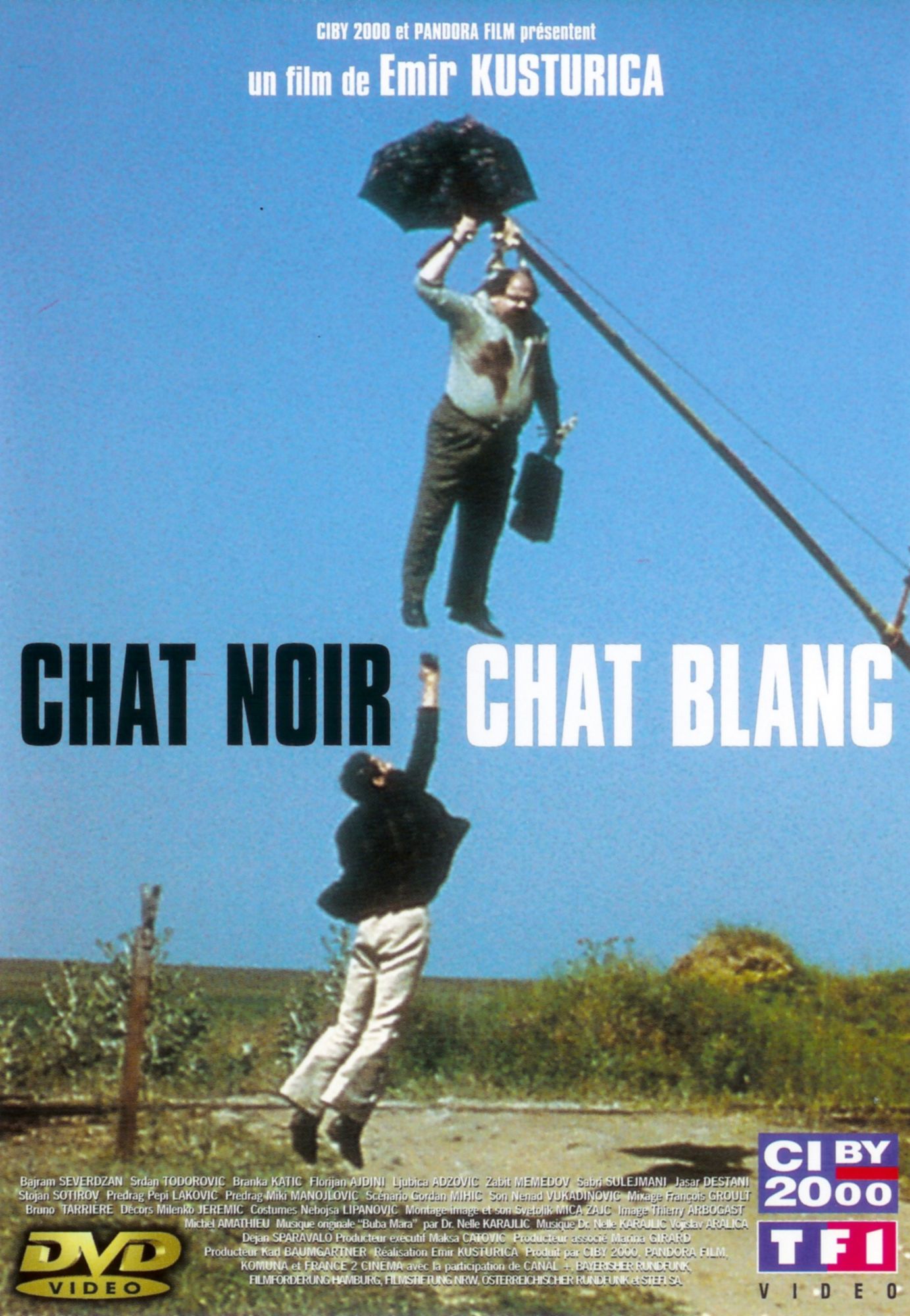 Chat noir chat blanc