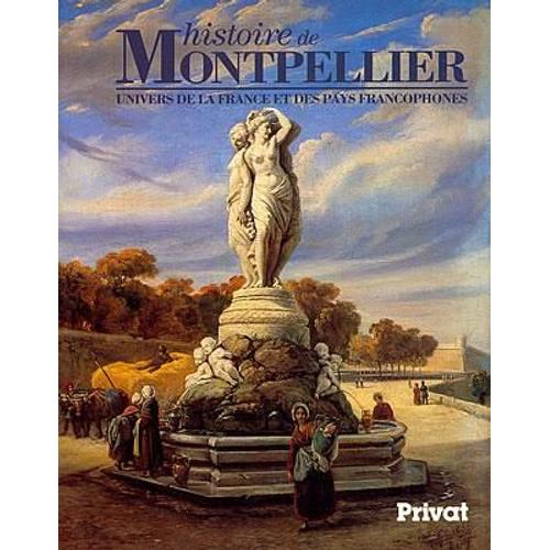 Histoire De Montpellier   de grard cholvy  Format Broch 
