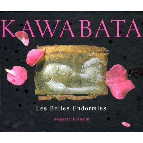 Les Belles Endormies    Format Beau livre 