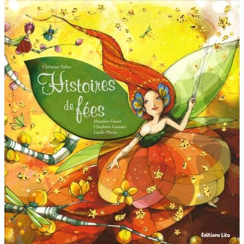 Histoires De Fes   de Palluy Christine  Format Album 