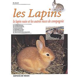 Les Lapins Le Lapin Nain Et Les Autres Races De Compagnie Rakuten